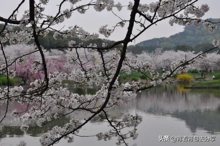 湖北必玩的十大景区，全部去过，才算真正的玩转湖北  -图6