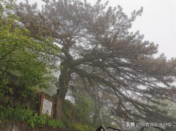 湖北必玩的十大景区，全部去过，才算真正的玩转湖北  -图9