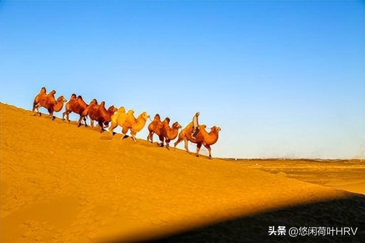 新疆五大王牌景点，去过3个，此生无憾，看看你都去过几个？  -图8