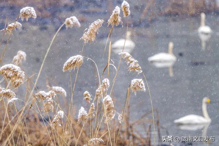 今日小雪！  -图3