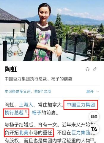 杨子前妻陶虹：离婚不离家，黄圣依是我闺蜜，她坐月子是我照顾的  -图10