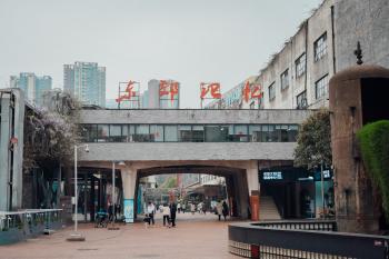 成都一日游，除了大熊猫都是本地人爱去的小众地方，免费又好耍  -图3