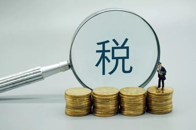 个人独资企业有哪些优缺点？为何在经济园区可以核定征收？  