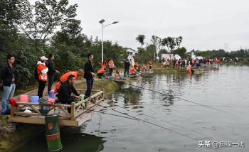 钓鱼新手必看，这些关于钓鱼的真相，你越早知道越好！  -图3