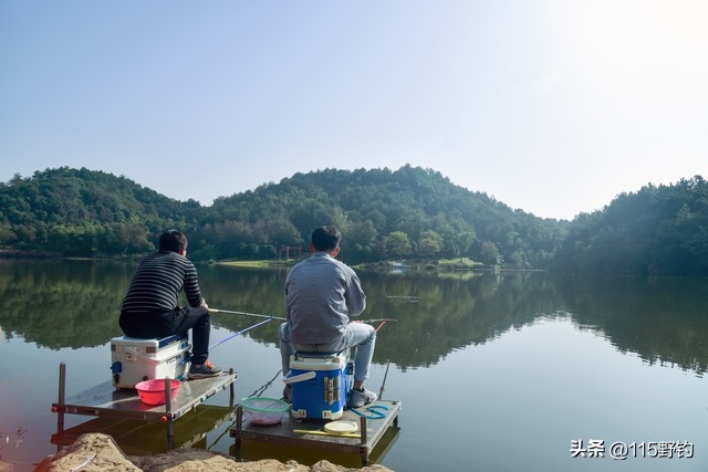 城边野池塘湖泊肥水塘钓鱼，选择有风有雨天气，钓位技巧方法分享  -图3