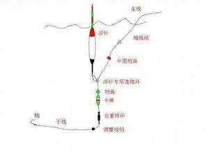 新手钓鱼如何入门  -图3