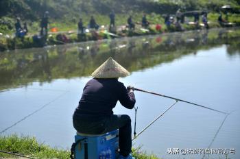 逗钓新发现：从钩饵缓沉、摆动，找到快速诱鱼“进窝”的诀窍  -图6