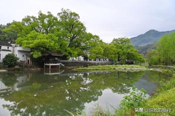 婺源旅游攻略，步步是“坑”一不小心就掉坑里，建议收藏  -图7