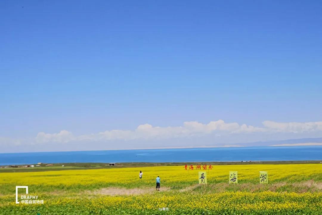 青海湖新玩法！1042公里环线自驾一网打尽油菜花+盐湖+祁连山...  -图11