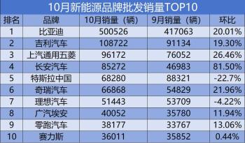 10月新能源品牌TOP10，榜首刷新全球纪录，特斯拉环比大跌出前三  -图2